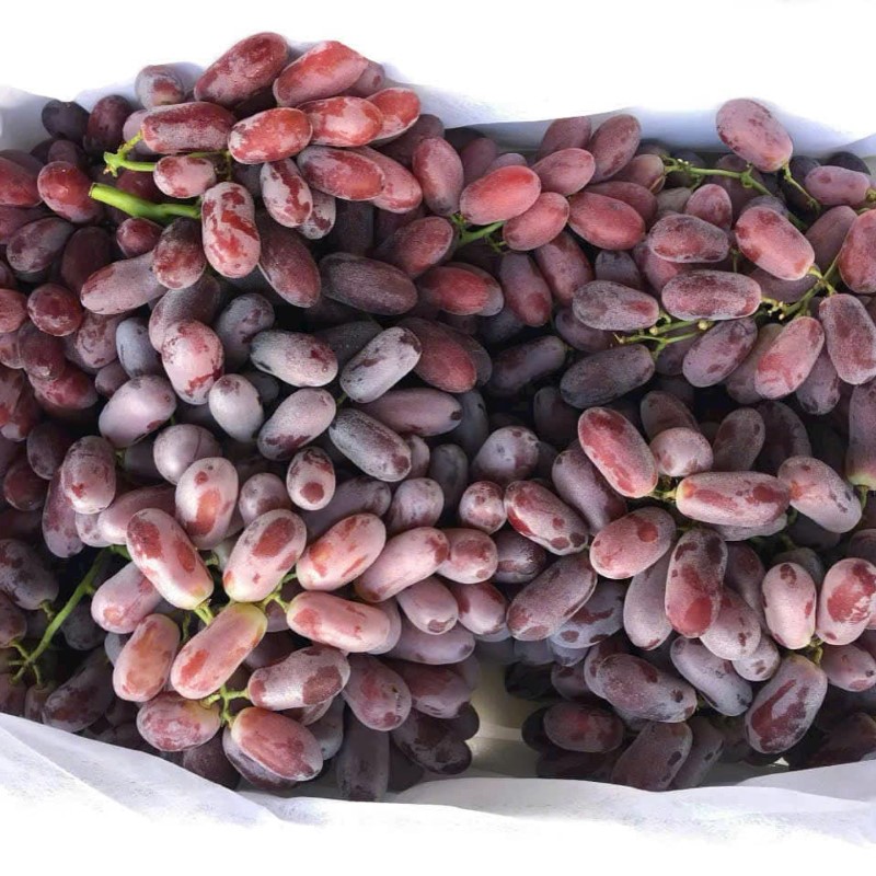 Nho Đỏ Long Crimson Úc_thumbnail_2