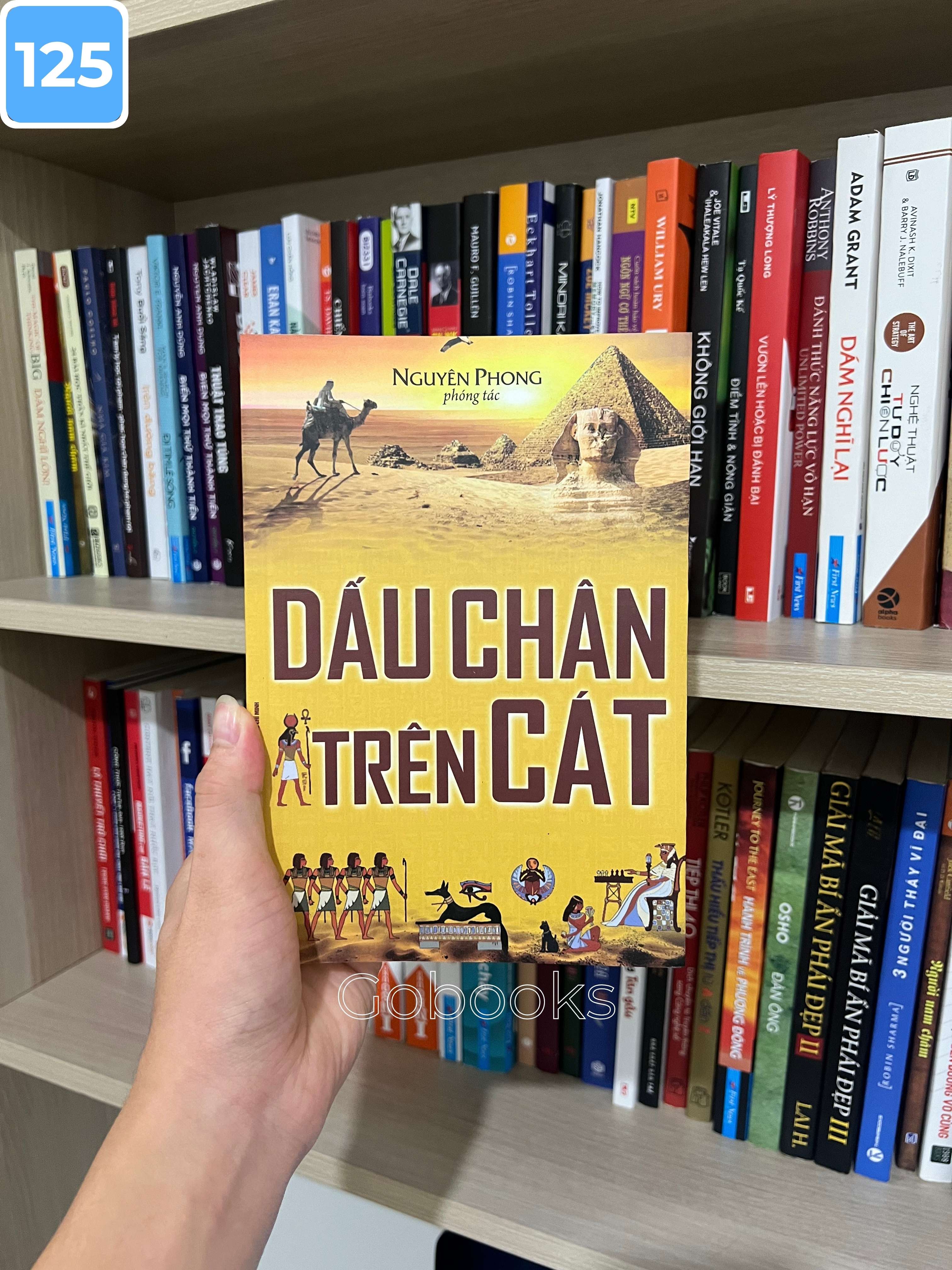 Dấu Chân Trên Cát - Nguyên Phong_thumbnail_1