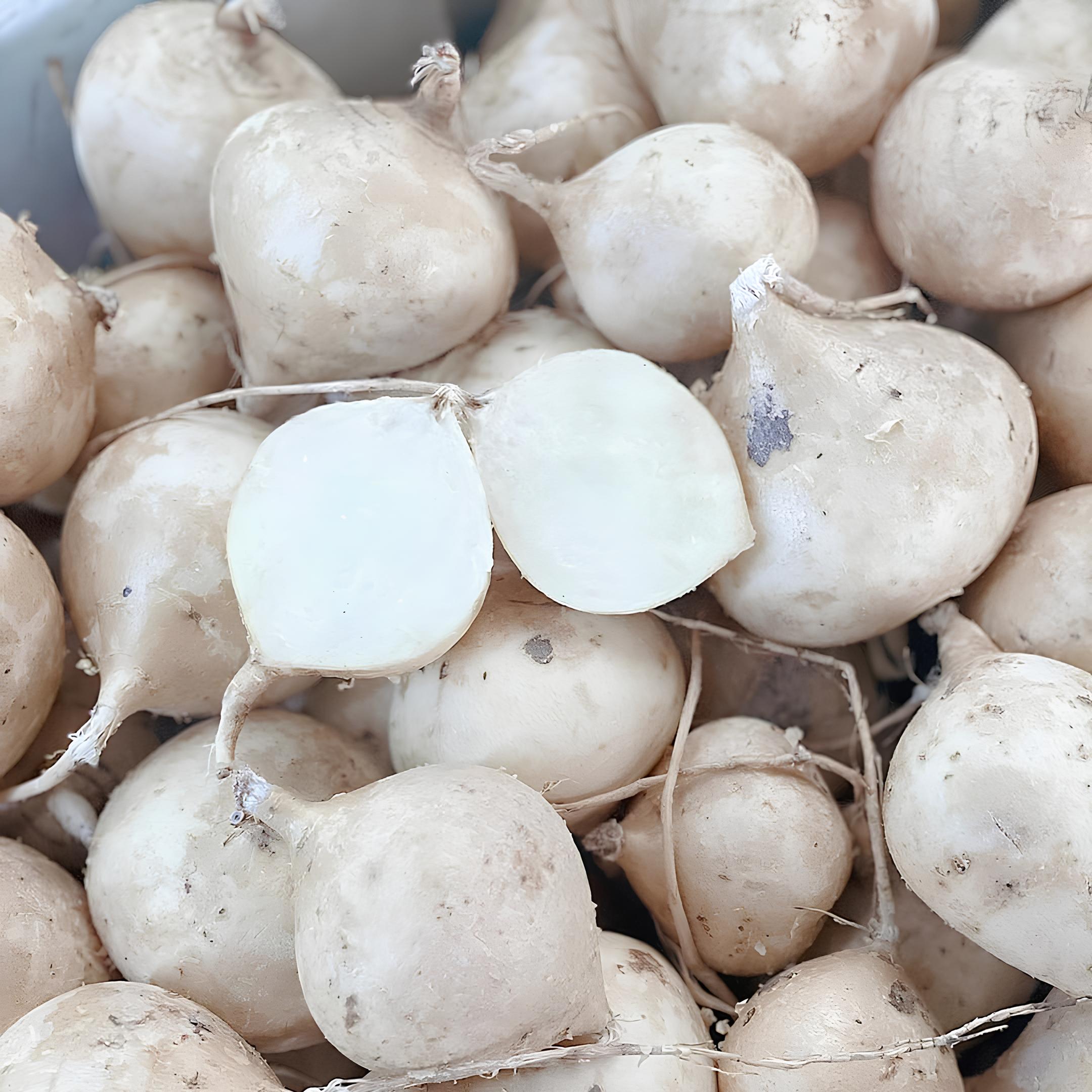 Sắn Non_thumbnail_3