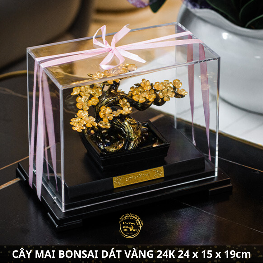 CÂY MAI BONSAI DÁT VÀNG 24K 24x15x19cm_thumbnail_1