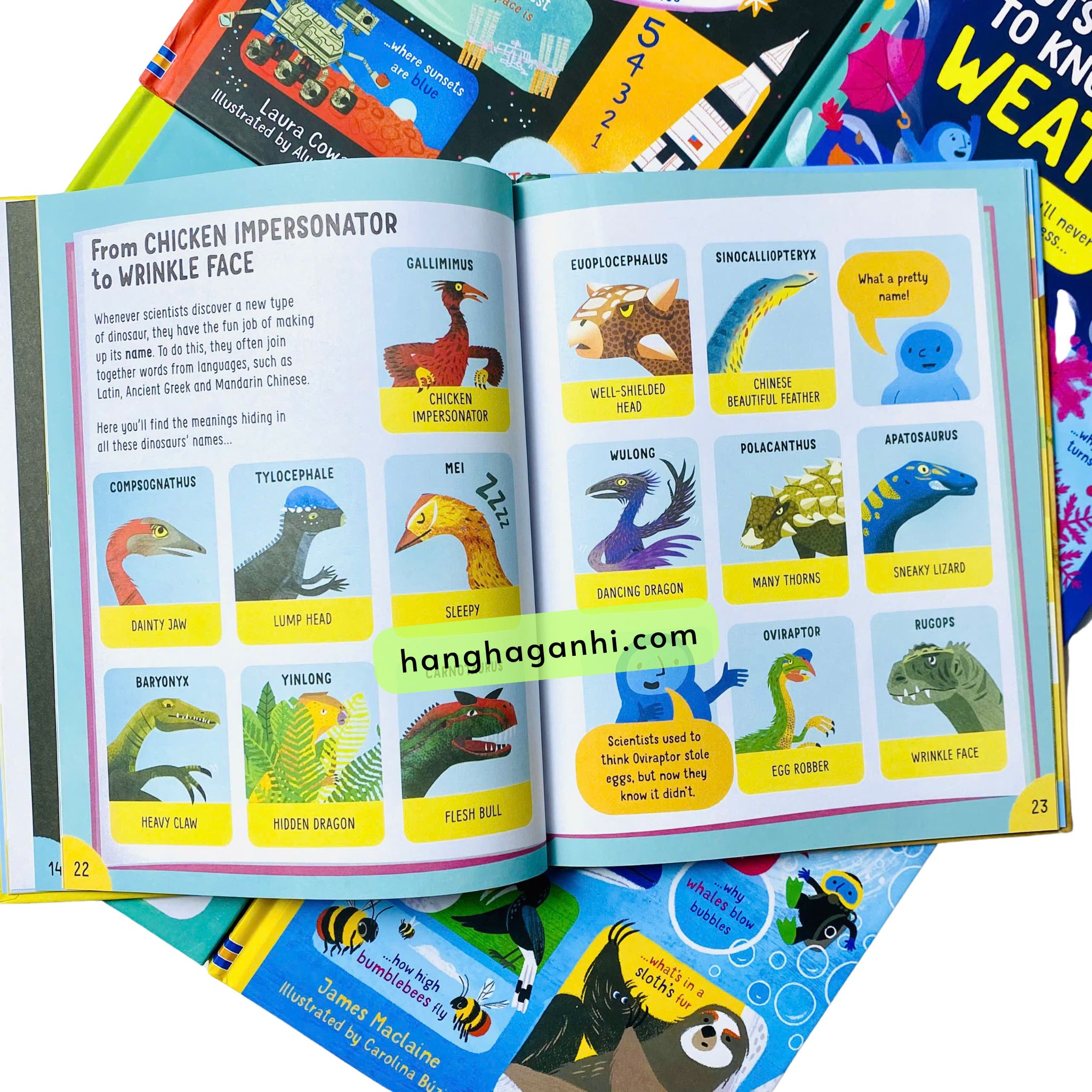 Usborne Lots of Things to Know About- Bộ 5 cuốn_thumbnail_2