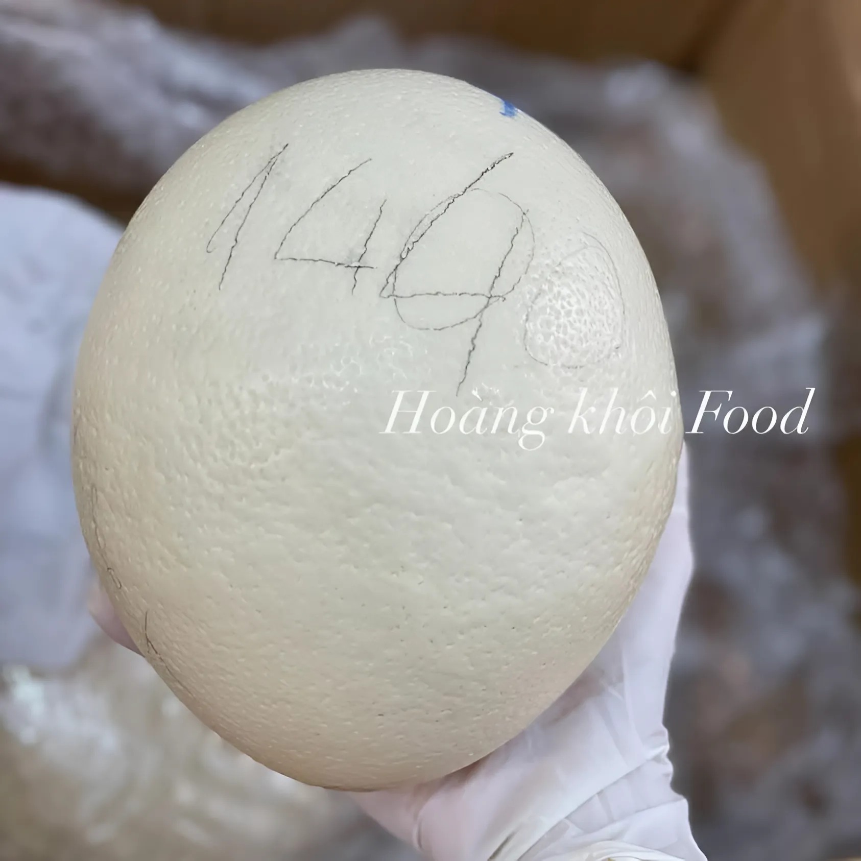 Trứng Đà Điểu_thumbnail_1