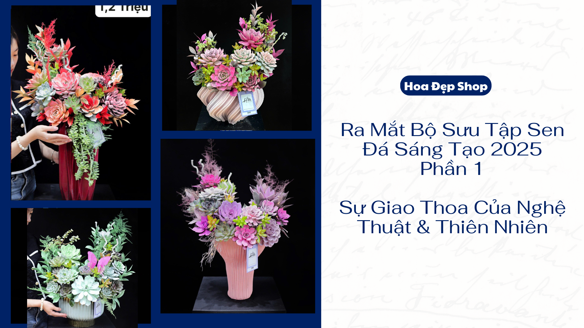 Ra Mắt Bộ Sưu Tập Sen Đá Sáng Tạo 2025 Phần 1 – Sự Giao Thoa Của Nghệ Thuật & Thiên Nhiên