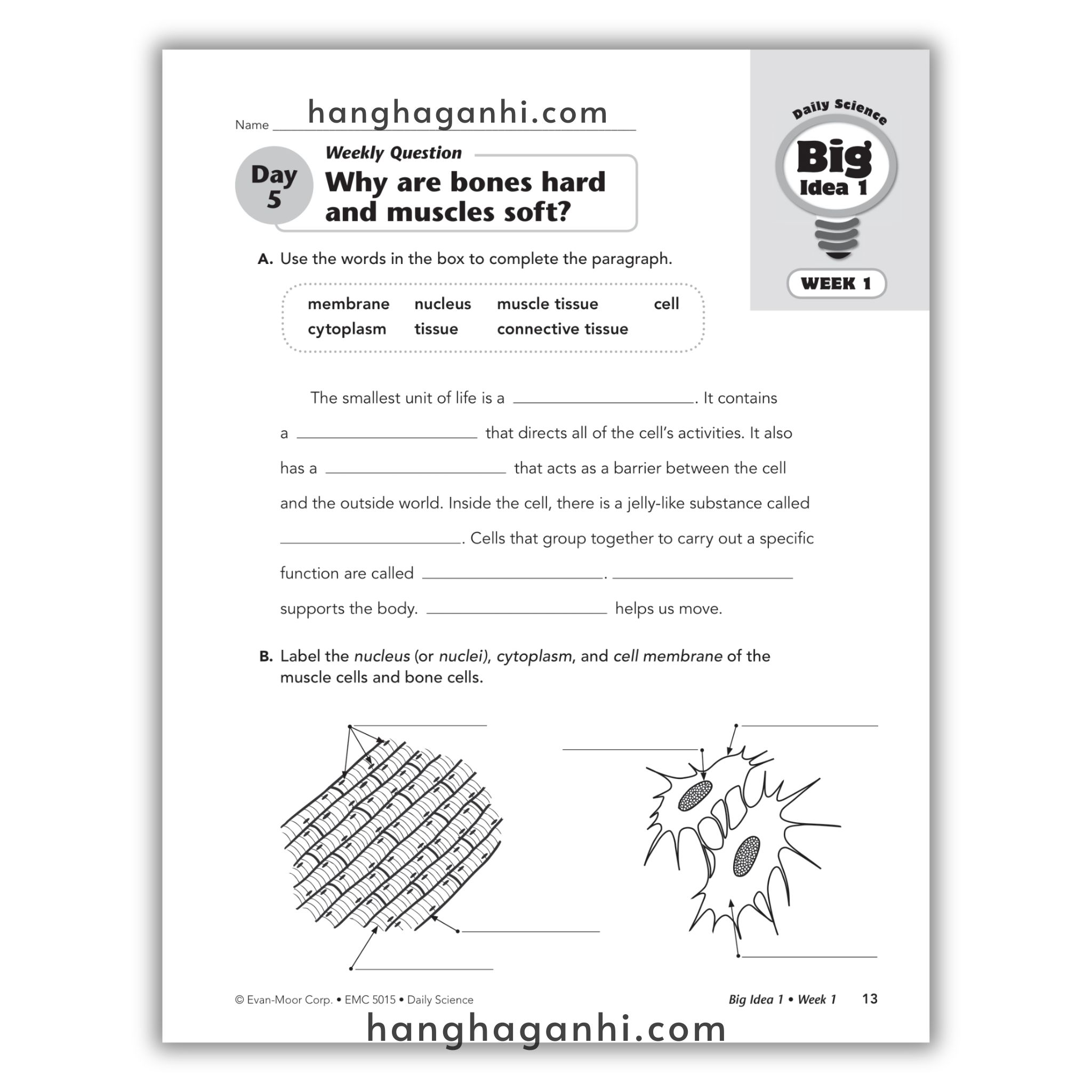 Daily Science Grade 5_thumbnail_3