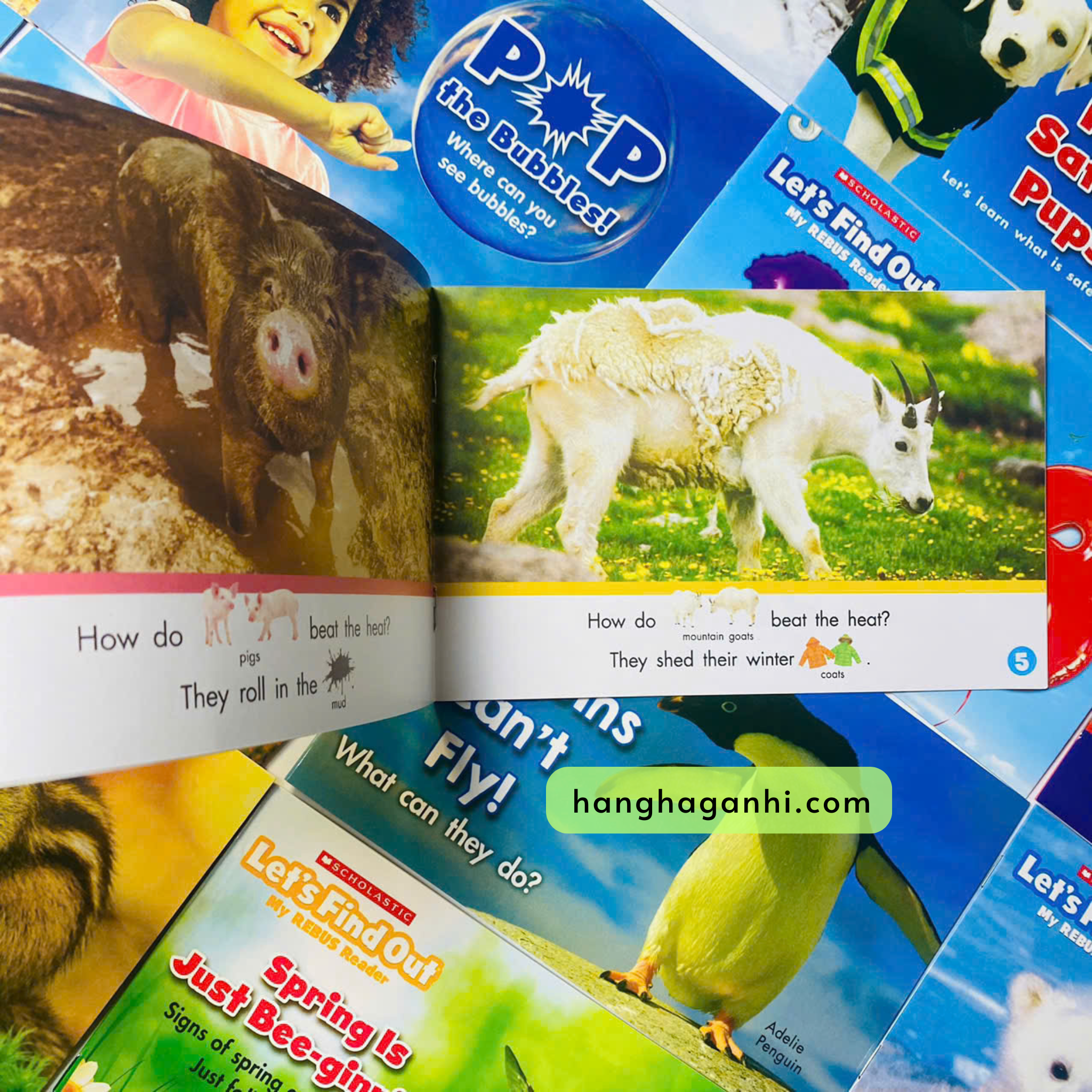 Let’s Find Out – My REBUS Reader_thumbnail_3