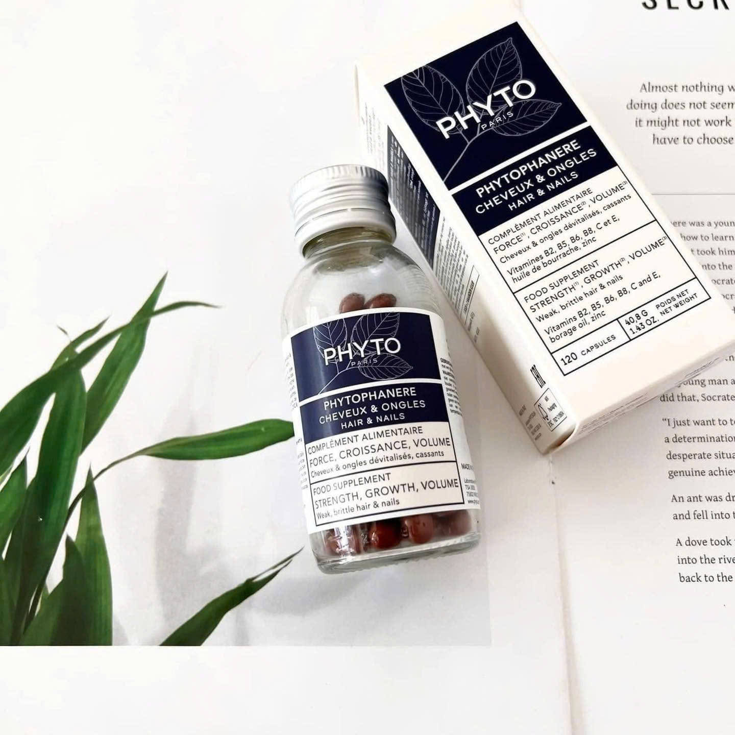 VIÊN UỐNG KÍCH THÍCH MỌC TÓC PHYTO PHANERE - FREESHIP_thumbnail_3