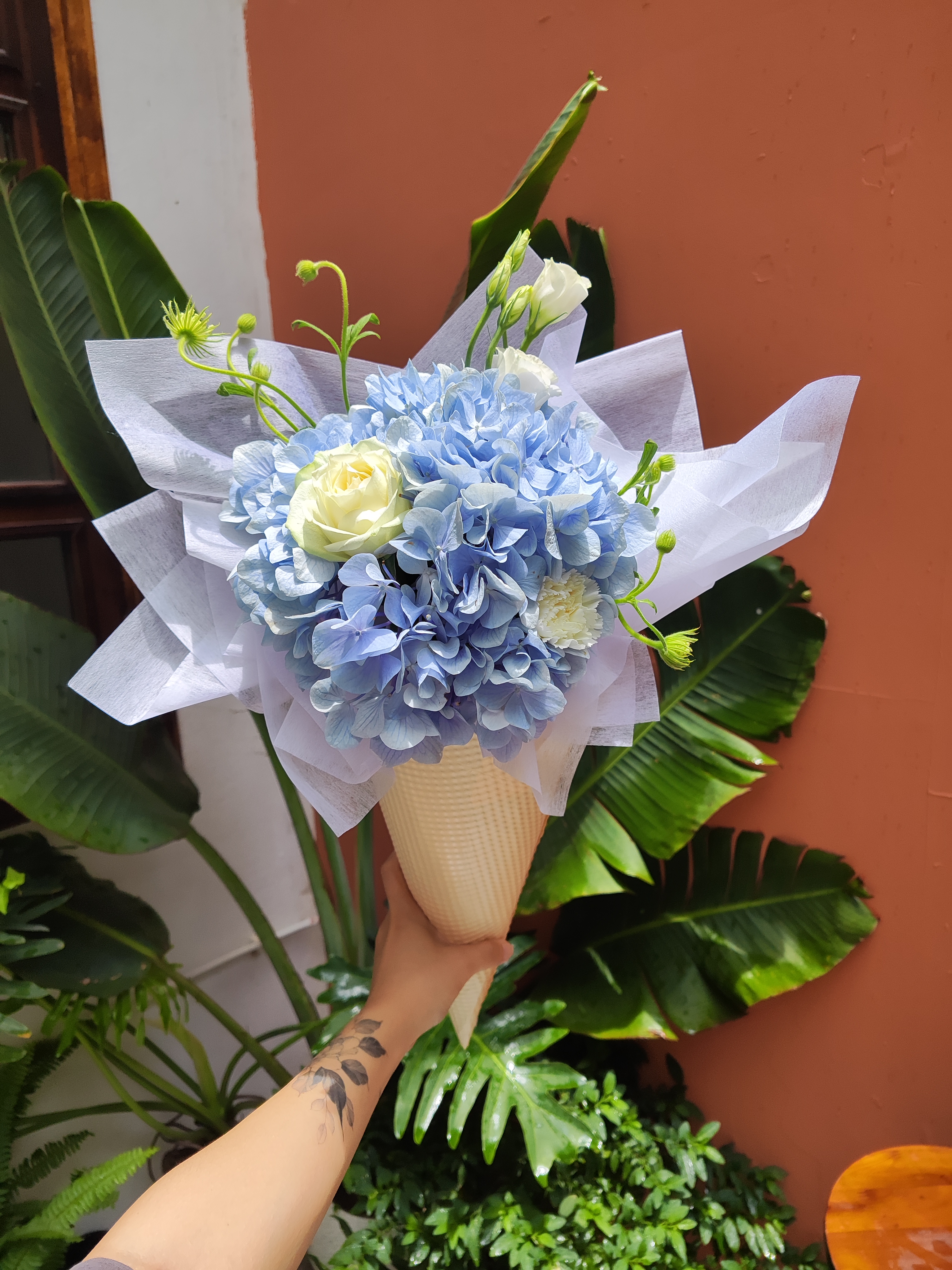 Bó ốc quế size S - Tú cầu xanh