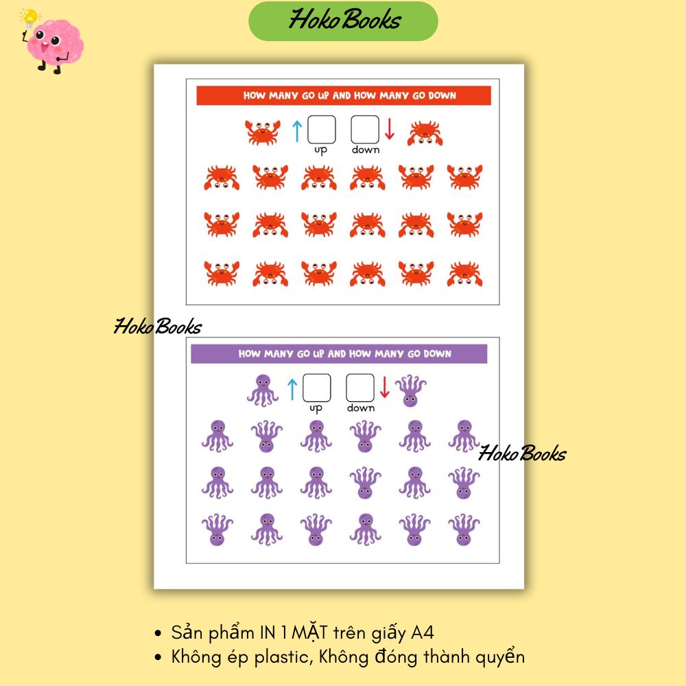 HL3 Bộ 23 tờ Học liệu định vị hướng IN A4 1 MẶT, KHÔNG ÉP PLASTIC, KHÔNG ĐÓNG QUYỂN_thumbnail_4