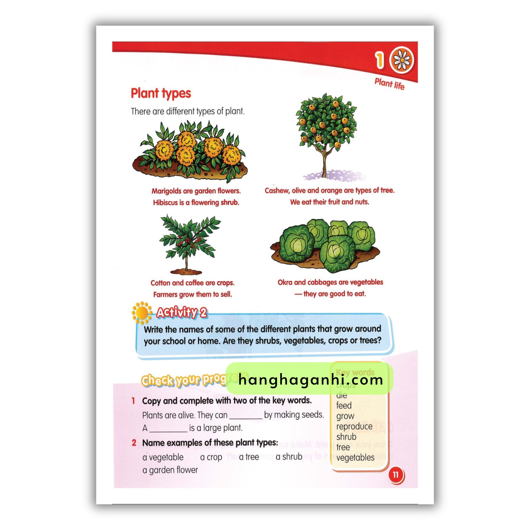 Macmillan Science 2 Pupil’s Book_thumbnail_17