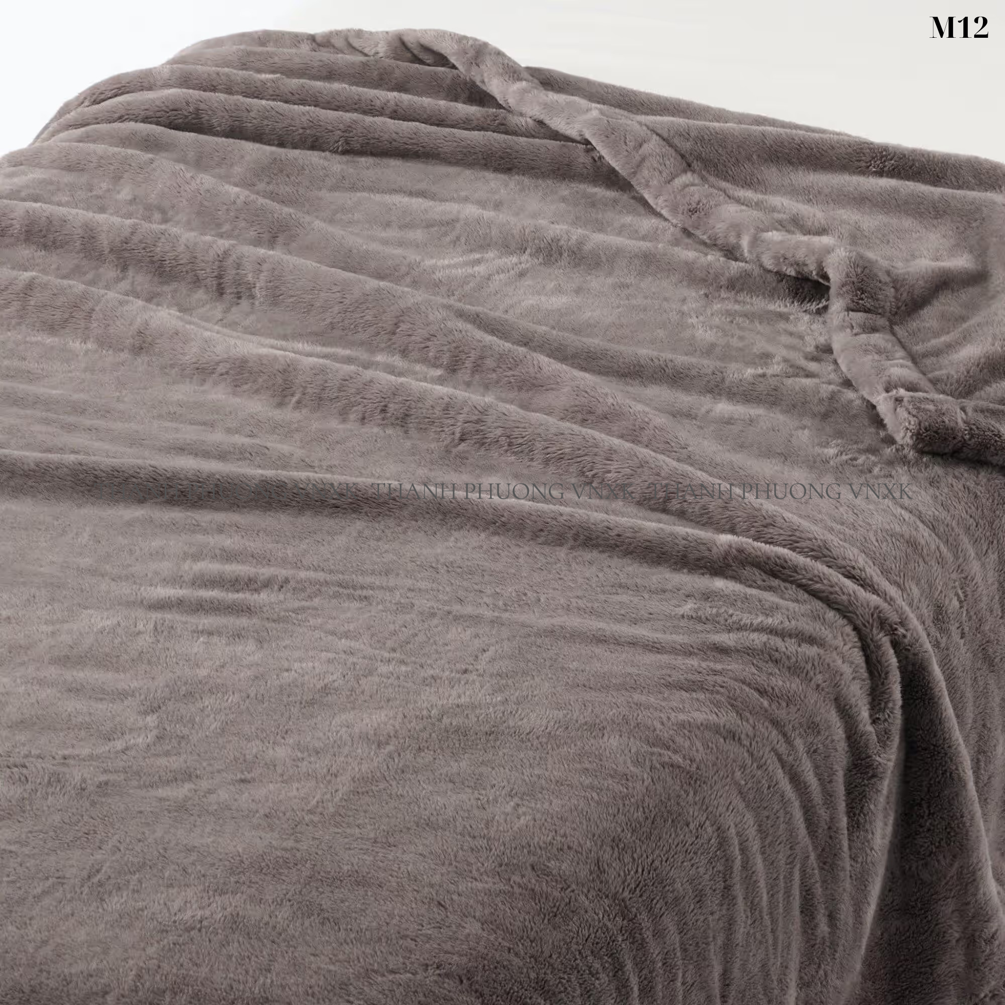 M12 CHAN LONG_thumbnail_2