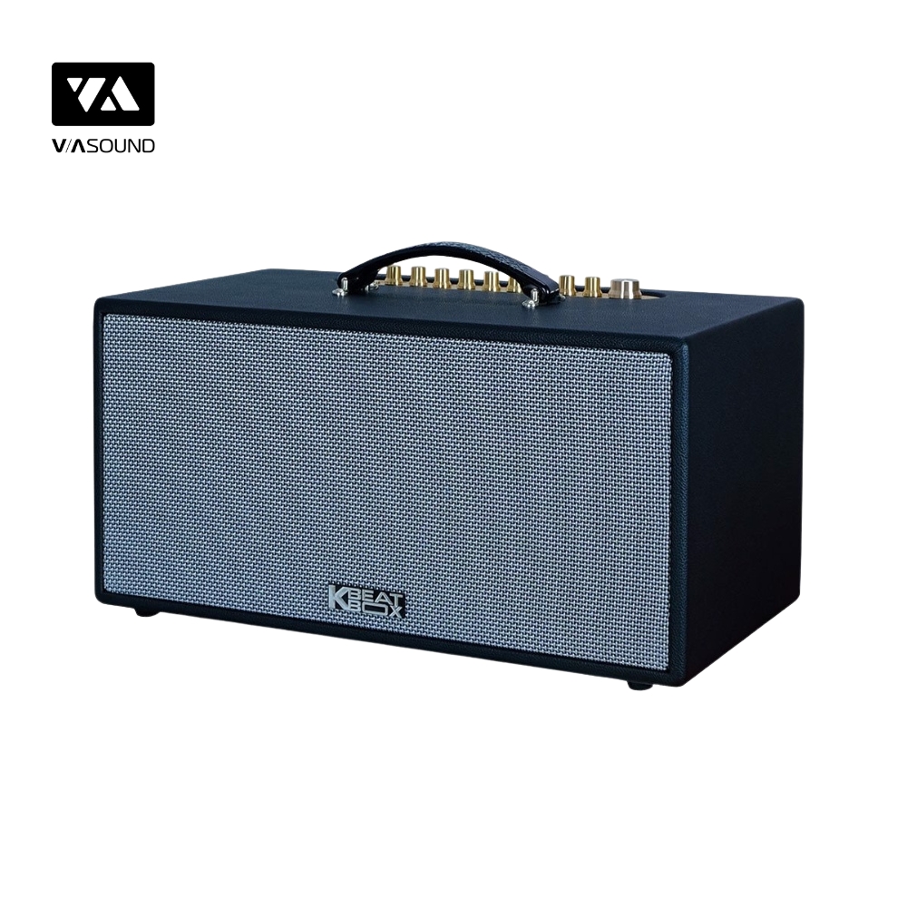 Loa Xách Tay ACNOS CS445D_thumbnail_2