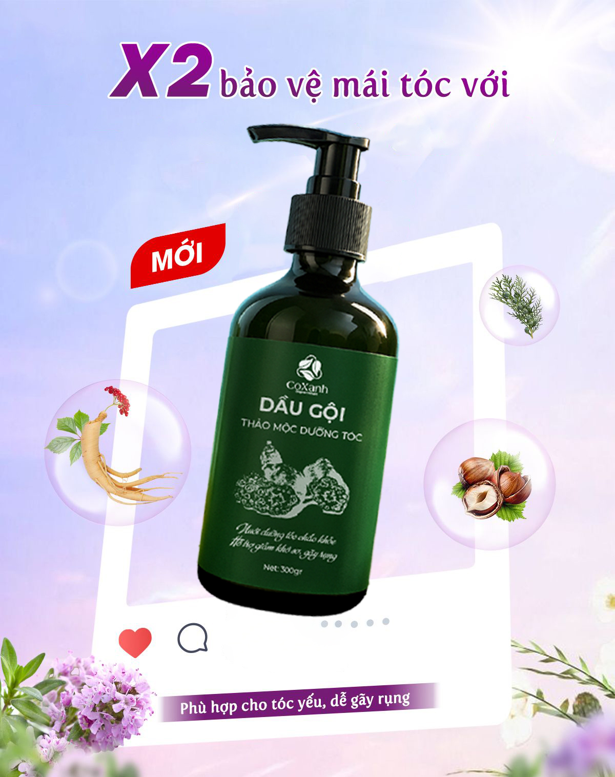 Cách Làm Cho Tóc Hết Gàu – Sạch Gàu, Giảm Ngứa, Tóc Vẫn Mềm Mượt