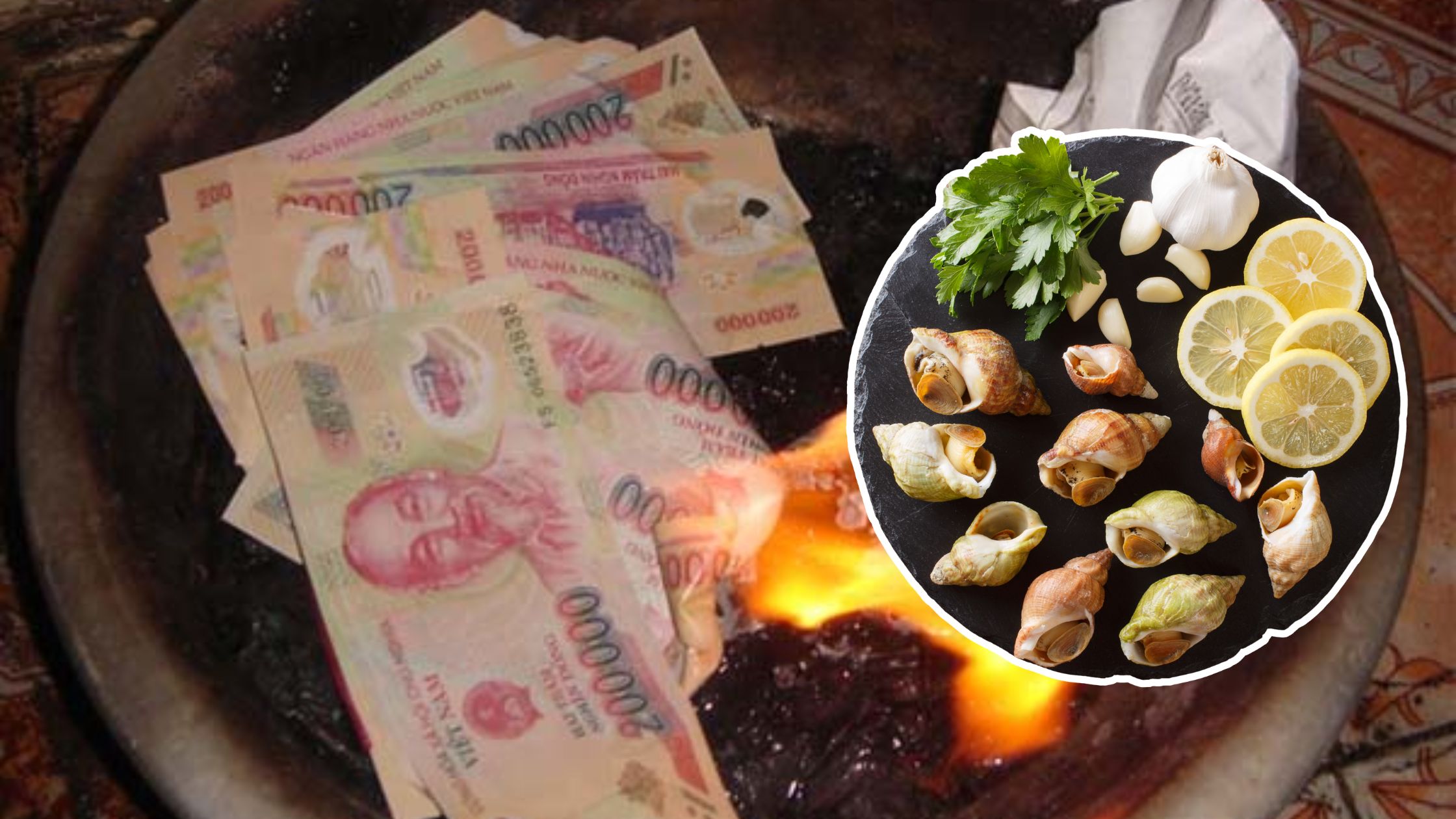 Sai lầm 'Chí mạng' khi nhập sỉ Ốc Bulot Đông lạnh & Cách tránh mất tiền Oan