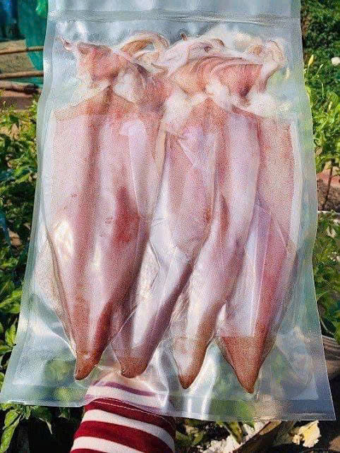 Mực ống 1 nắng Đông lạnh, Cam kết phơi sấy Tự nhiên