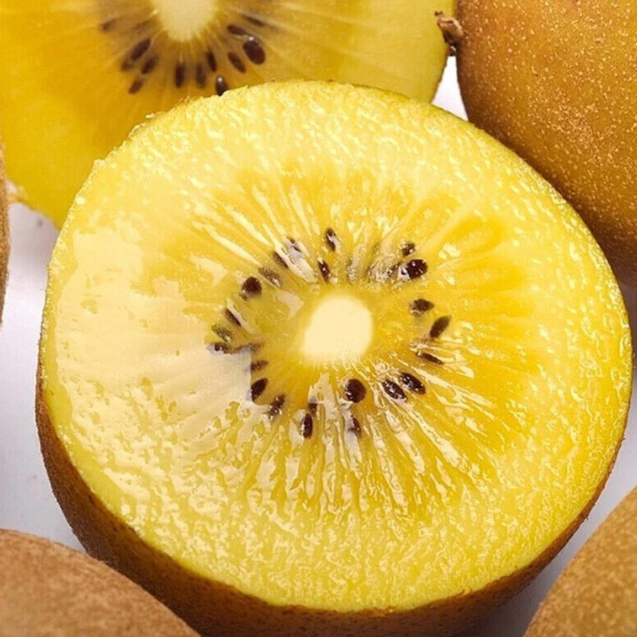 Kiwi vàng hữu cơ_thumbnail_4