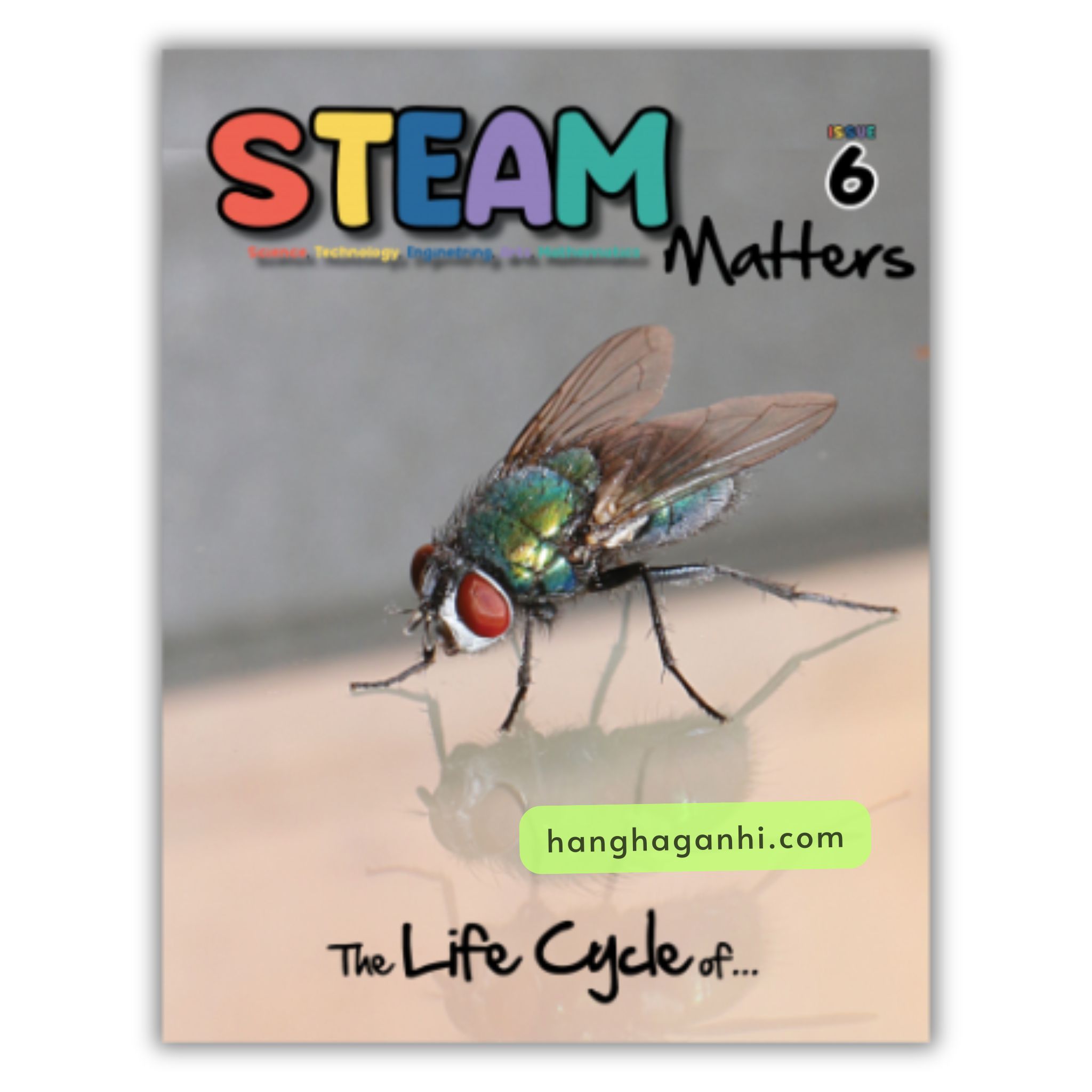 Steam Matters [Sách Nhập Khẩu] – Trọn Bộ 6 Cuốn Về Khoa Học, Công Nghệ, Nghệ Thuật, Toán Học, Sinh Vật, Môi Trường_thumbnail_6