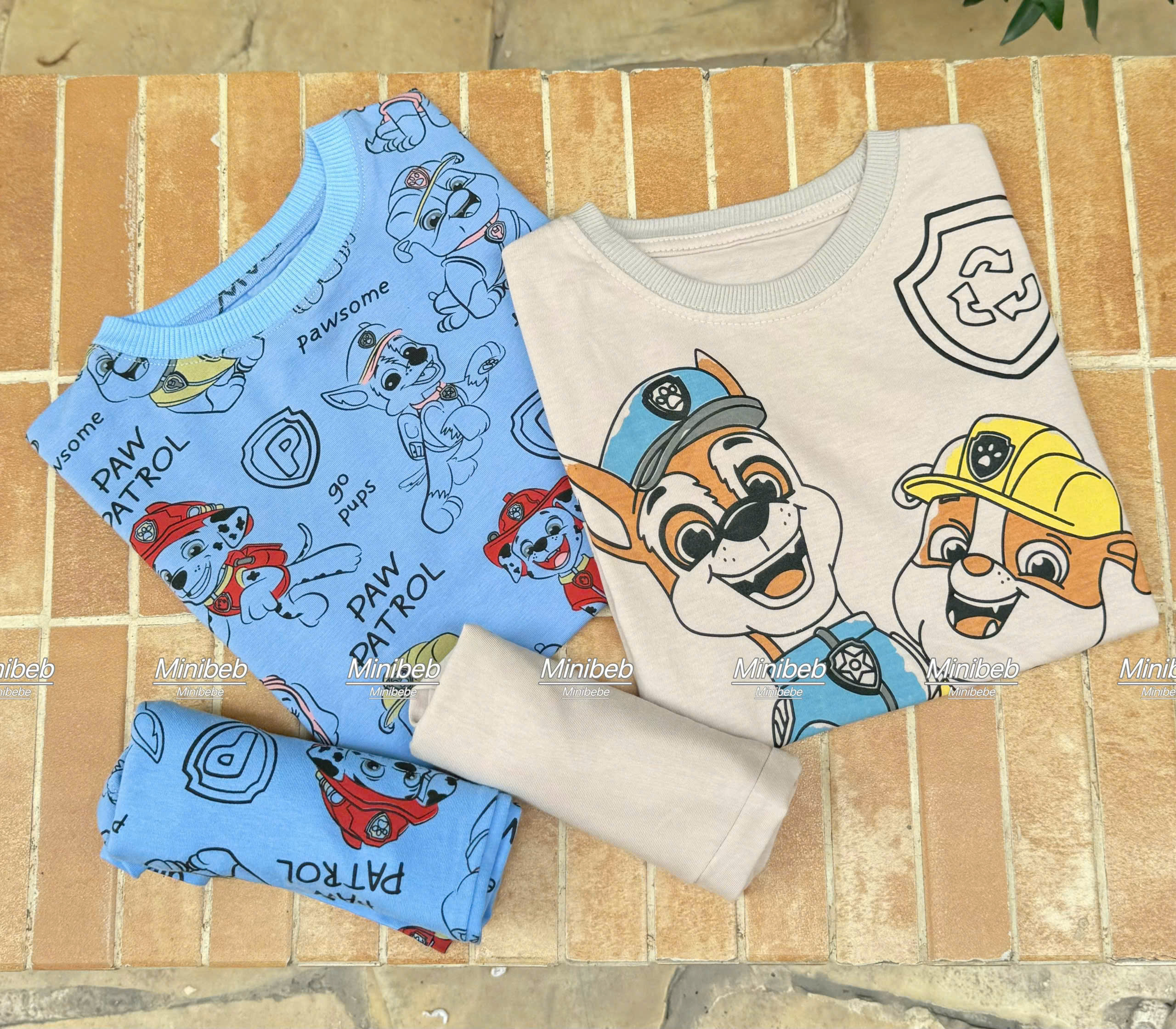 A56 SET 2 BỘ CỘC CHÓ ĐỘI MŨ XANH VÀNG- A100.144_thumbnail_2