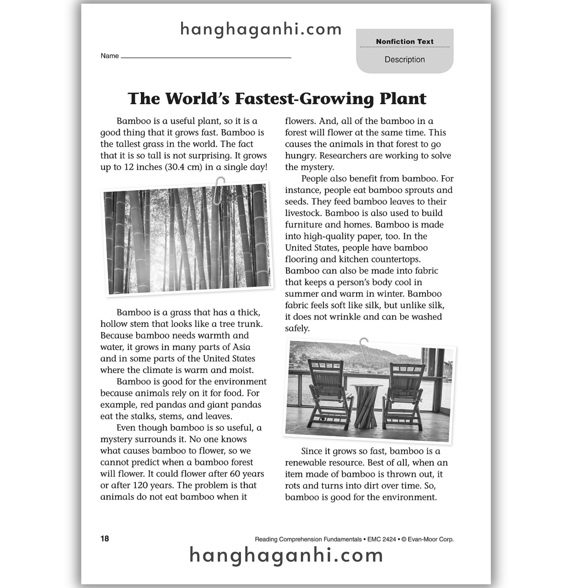 Reading Comprehension Fundamentals grade 4_thumbnail_12