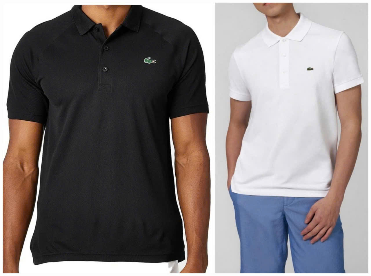 AO THUN LACOSTE_thumbnail_1