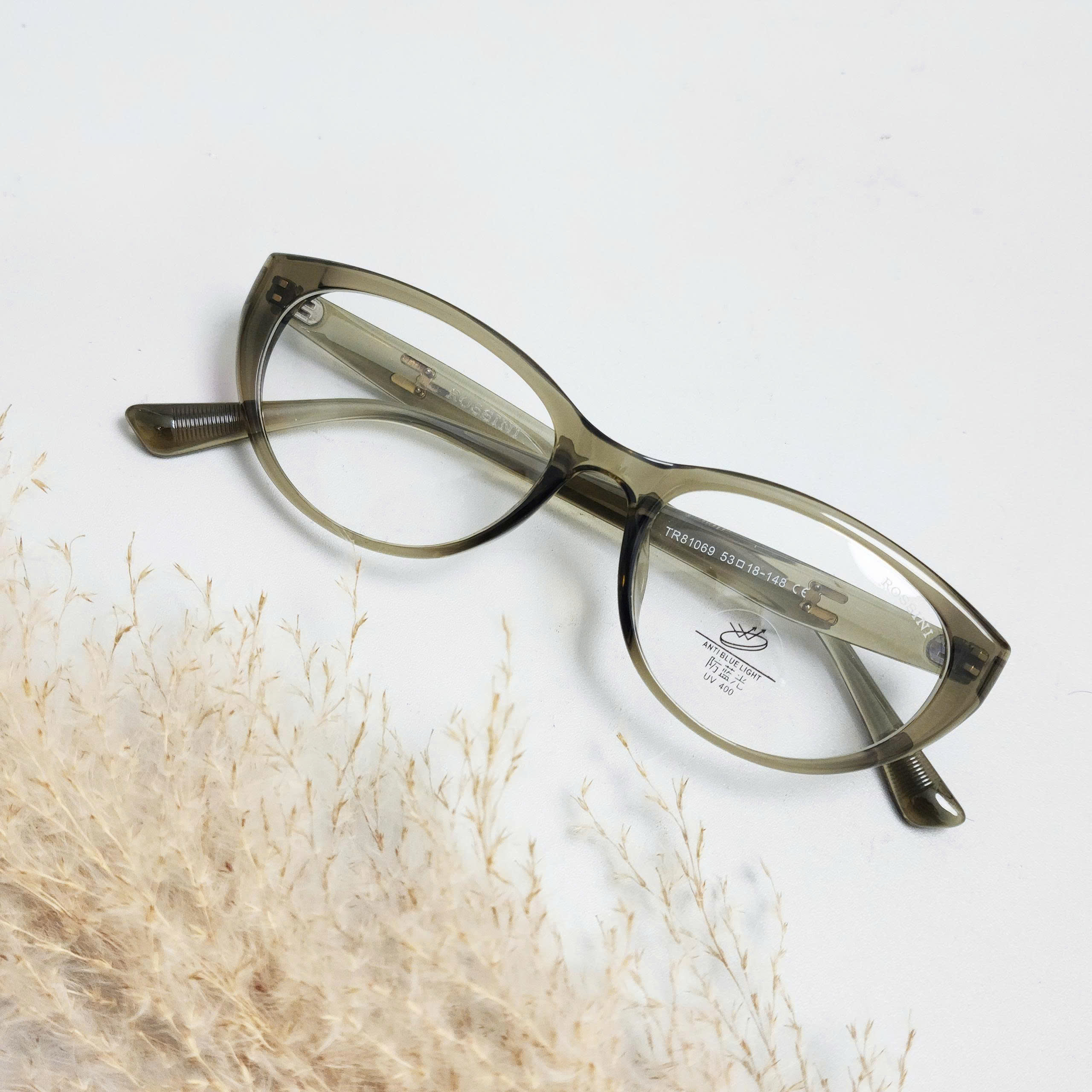 Kính gọng Rossini - ROS81069-C4_thumbnail_2