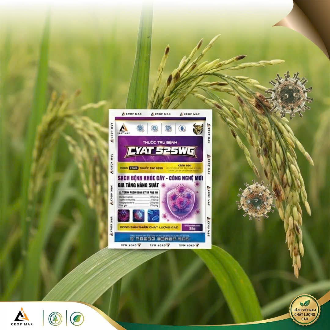 CYAT 525WG – Thuốc trừ bệnh phổ rộng, sạch bệnh nhanh, phục hồi cây mạnh_thumbnail_3
