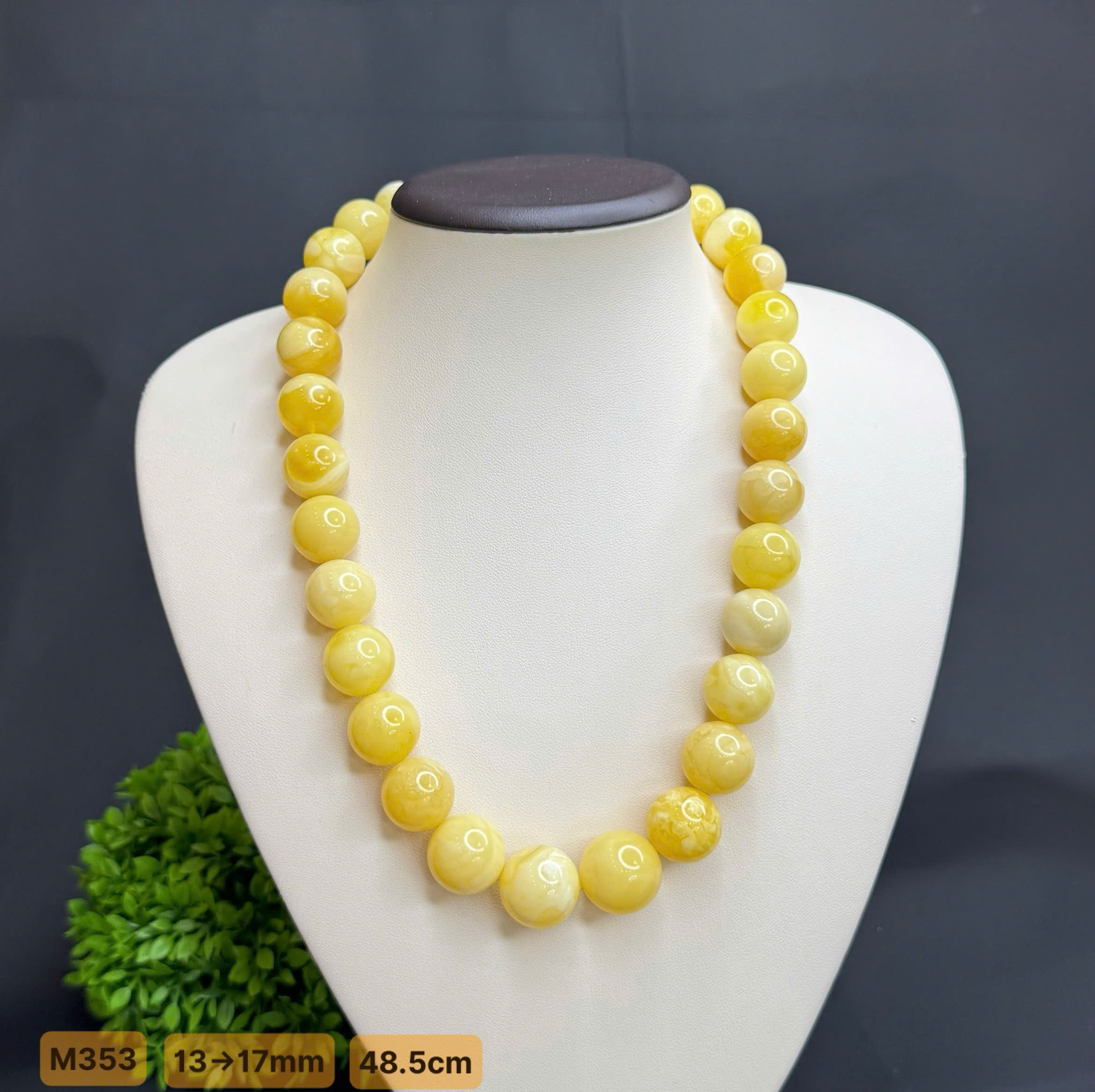 Vòng Cổ Hoàng Gia - M353