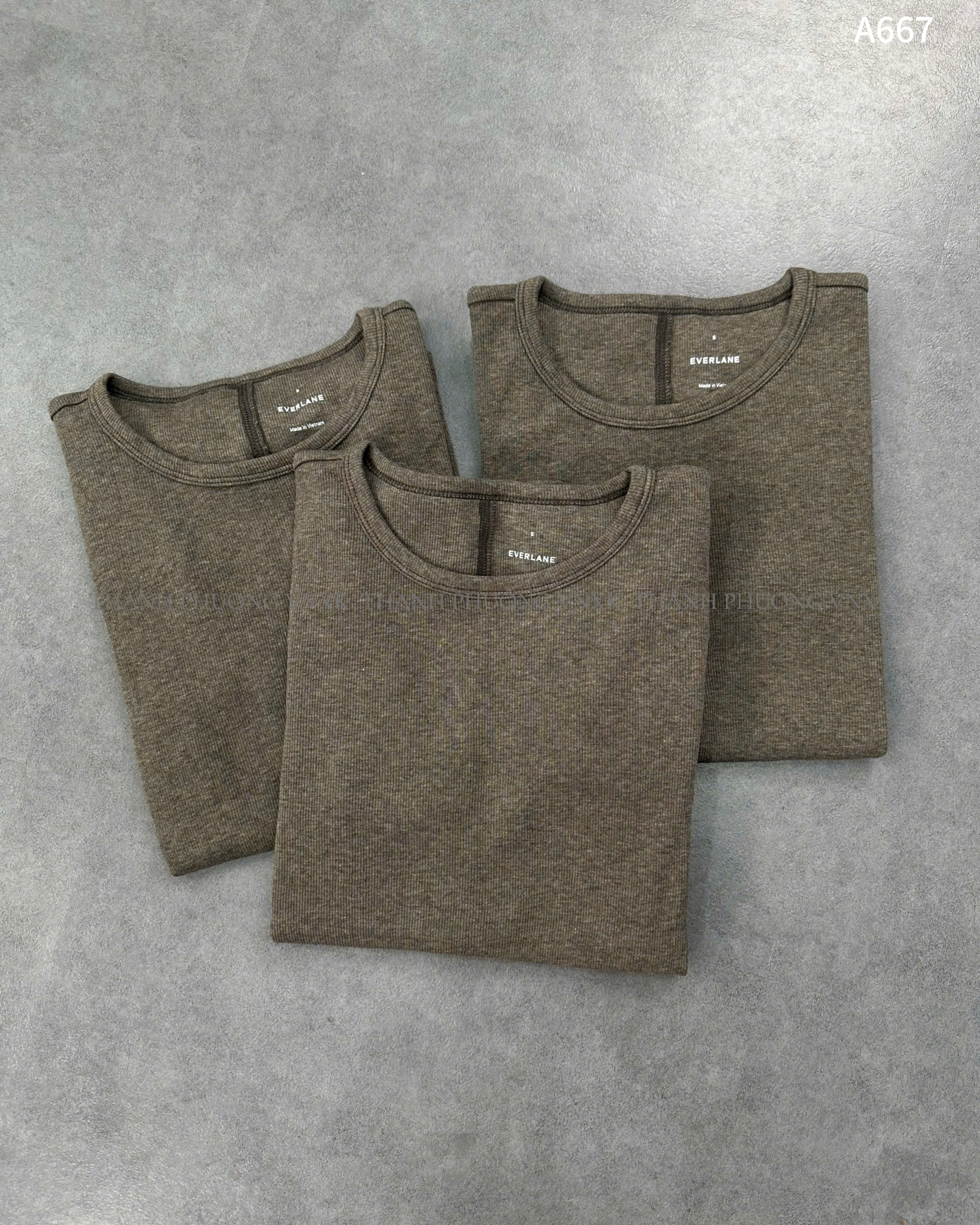 AO NU EVER A667 (L3-2)_thumbnail_1