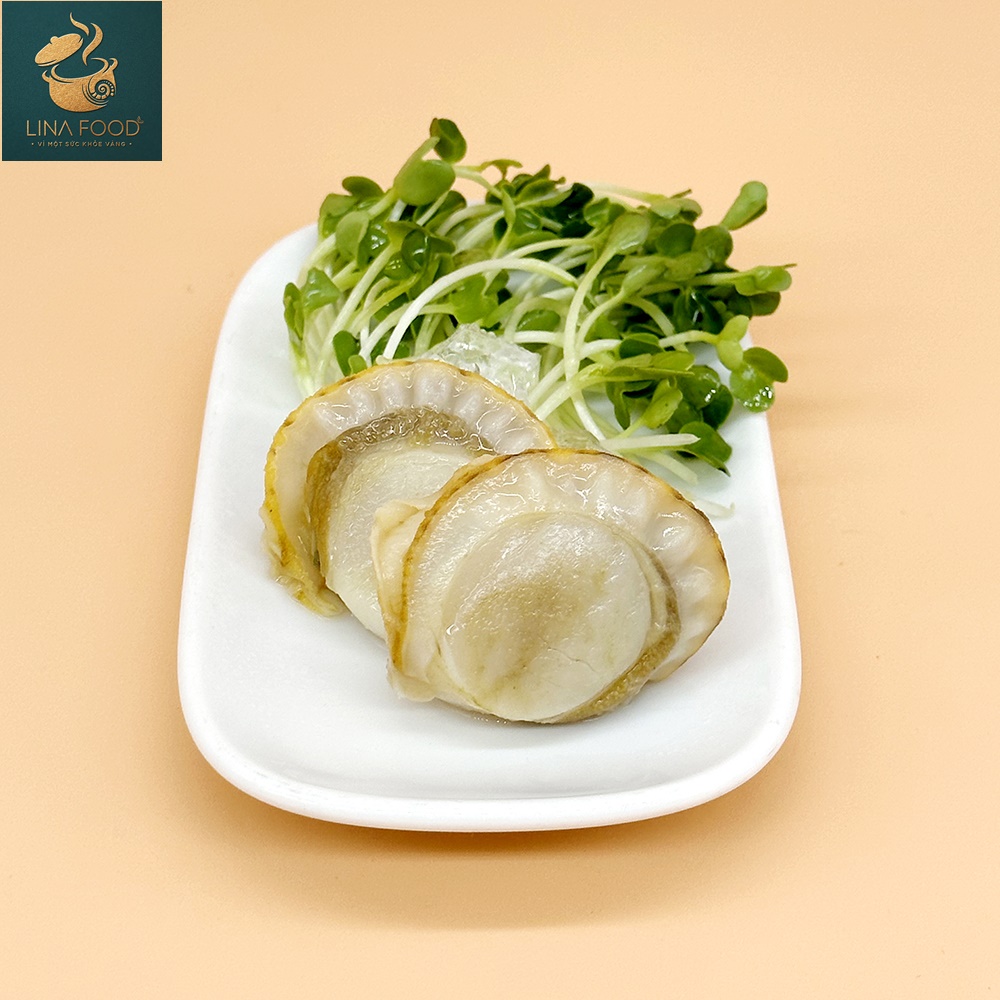 Quà Tặng 14: 3 Sò Điệp Nhật