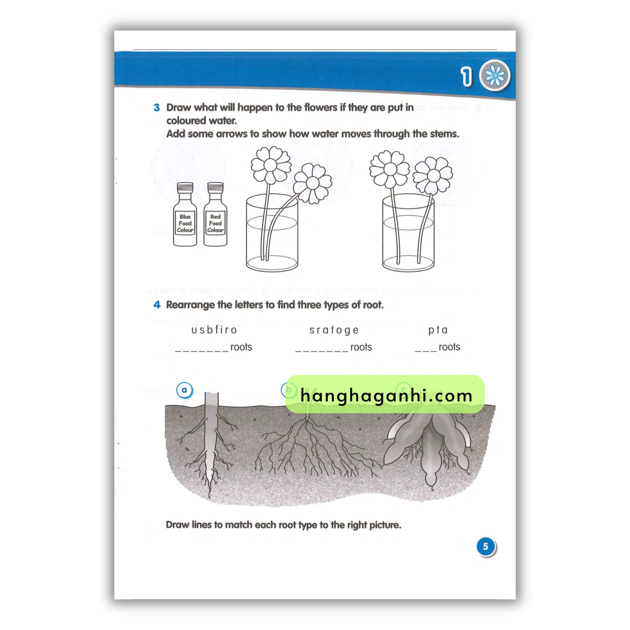 Macmillan Science 3 Workbook_thumbnail_16