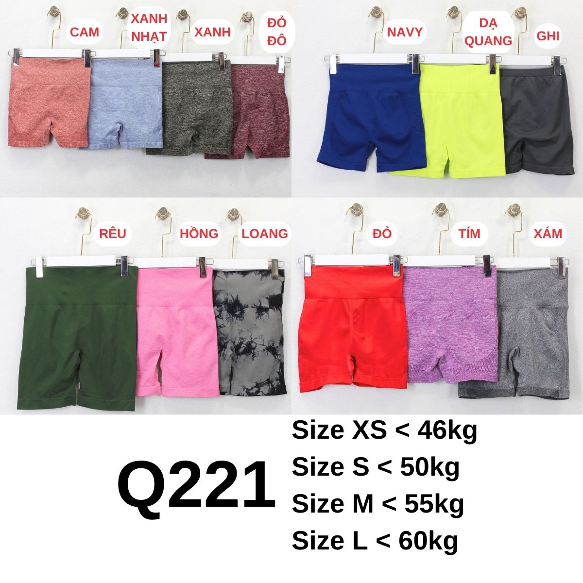 Q221- Quần Đùi Tập