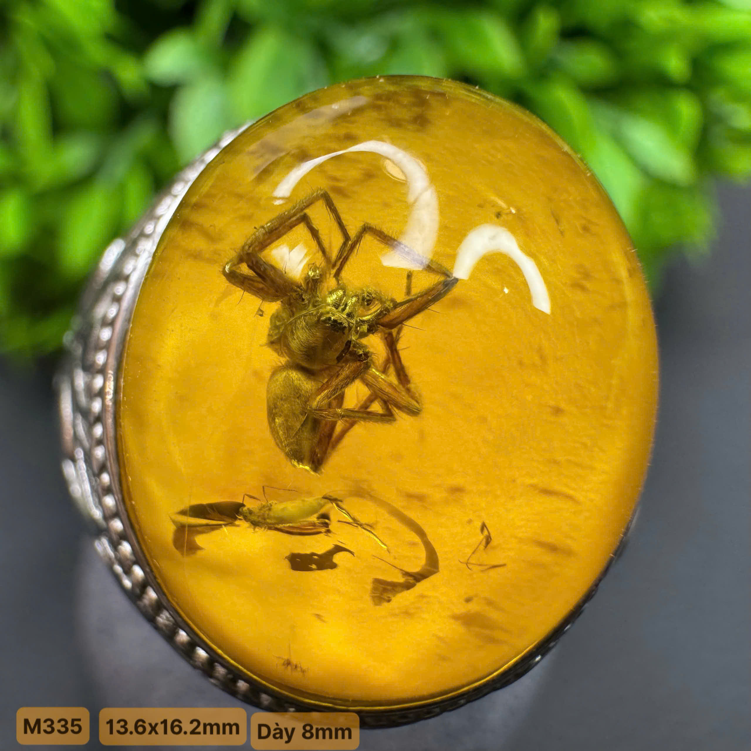 Nhẫn Côn Trùng Nhện Hiếm - M335