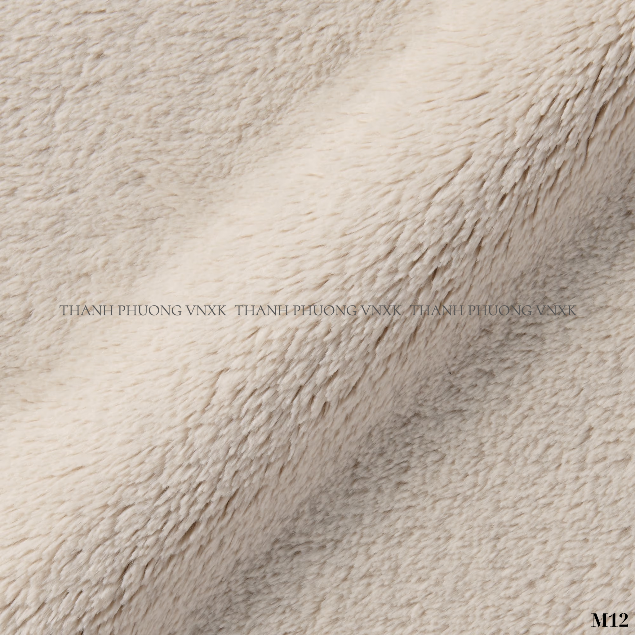 M12 CHAN LONG_thumbnail_8