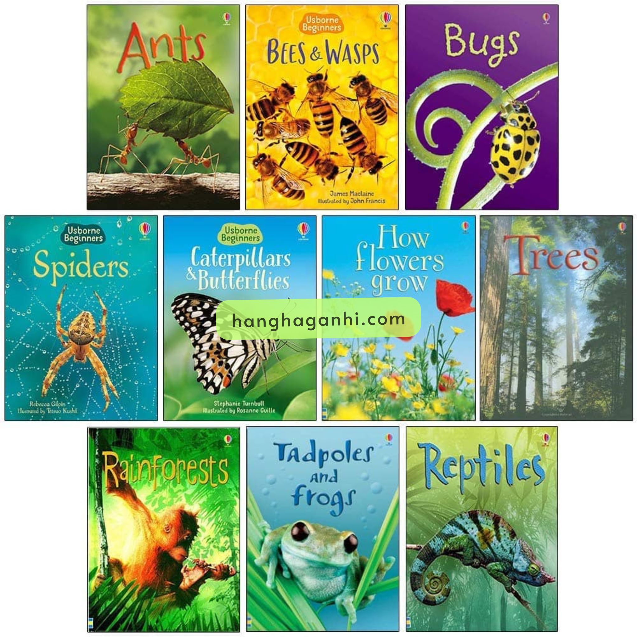 Bộ sách Usborne Beginners Nature Box Set Collection -10 cuốn_thumbnail_4