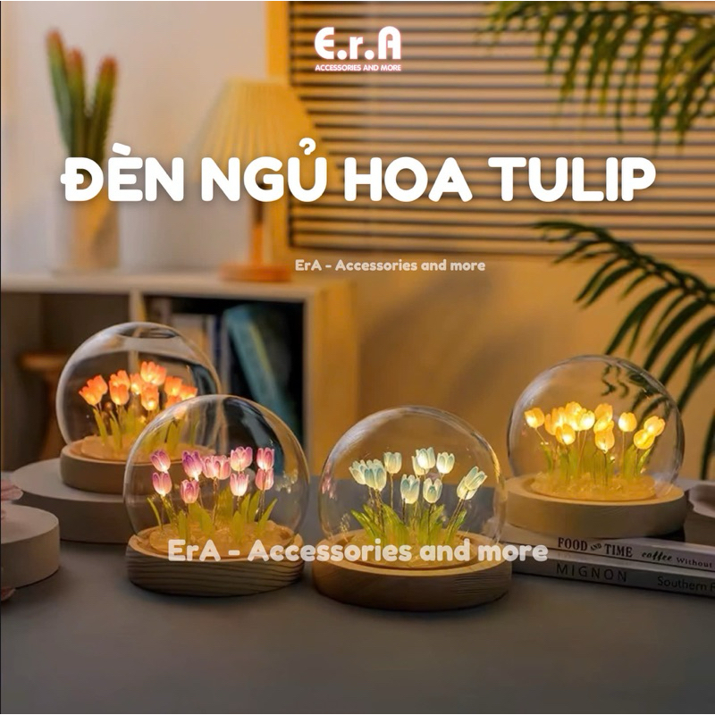 Đèn Ngủ Tròn Tulip Phát Sáng