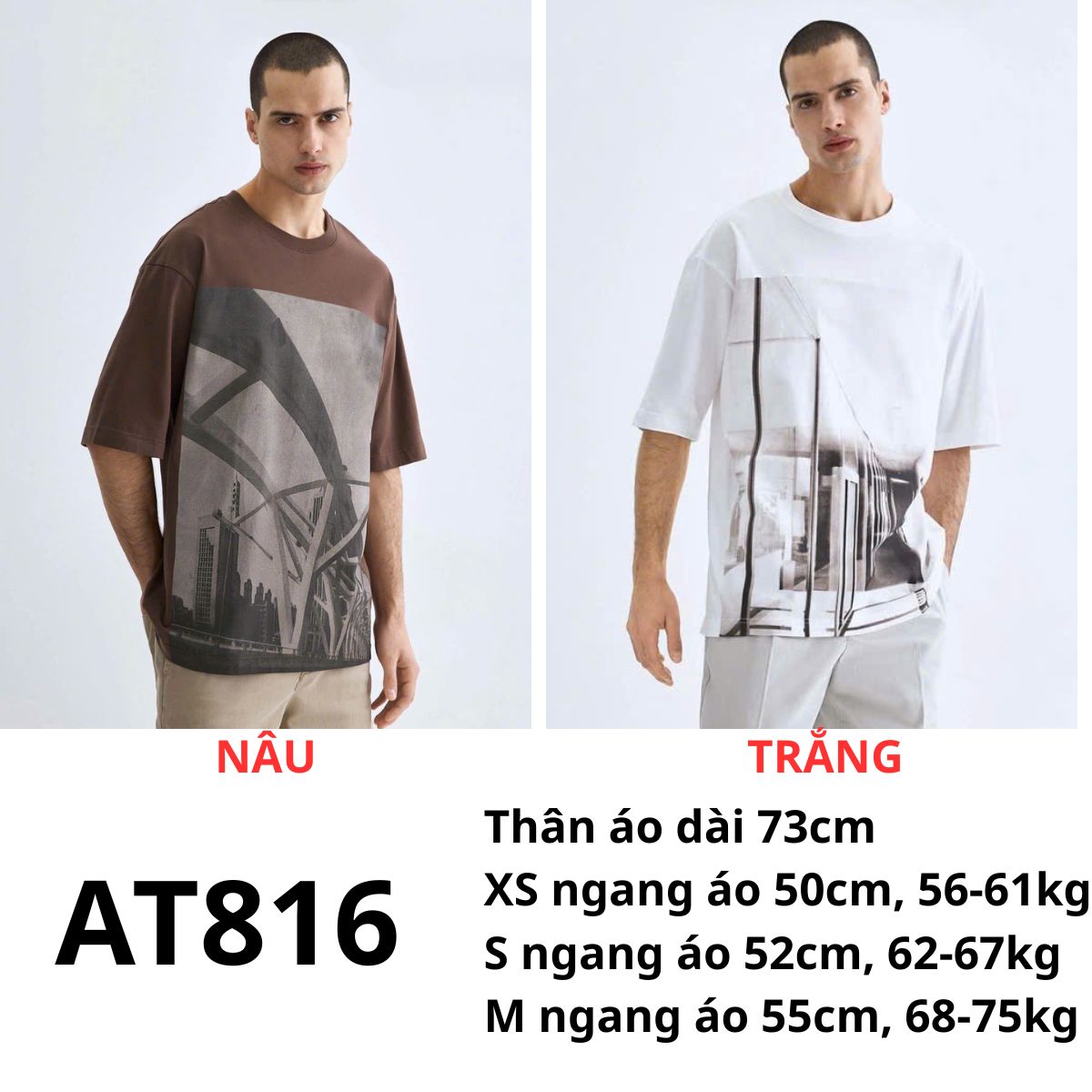 AT816 - ÁO THUN NAM