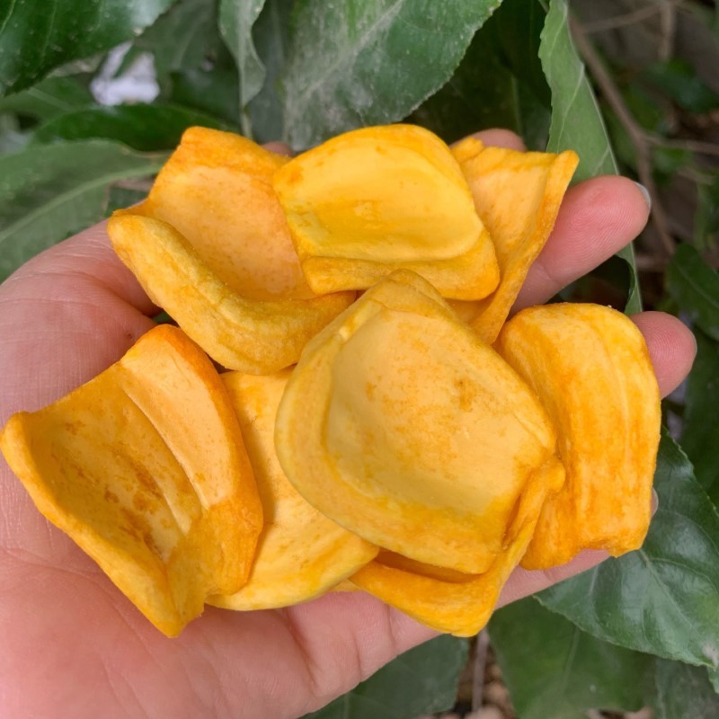 Mít Thái Sấy Nguyên Cánh_thumbnail_3