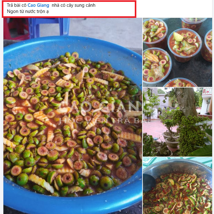 Lớp Sung Muối Xổi Kinh Doanh_thumbnail_7