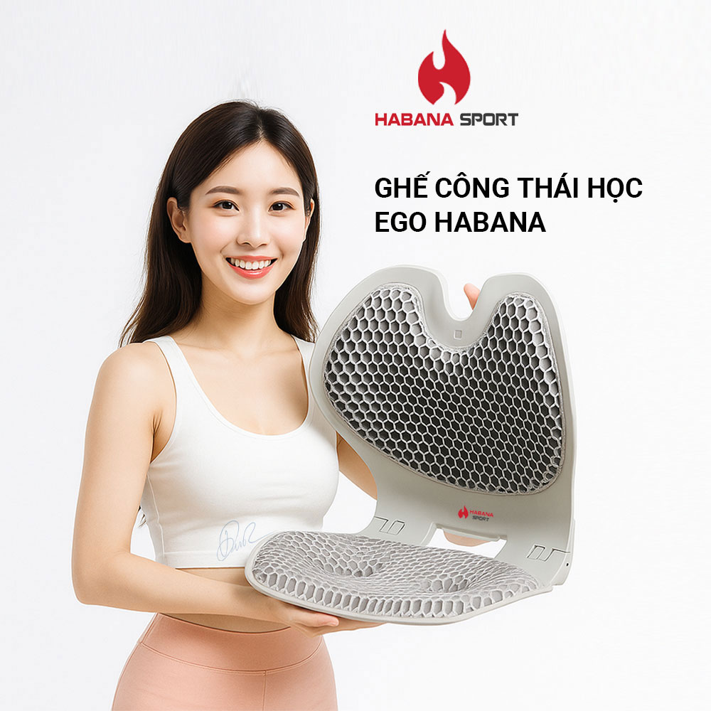 Ghế Chỉnh Dáng EGO HABANA