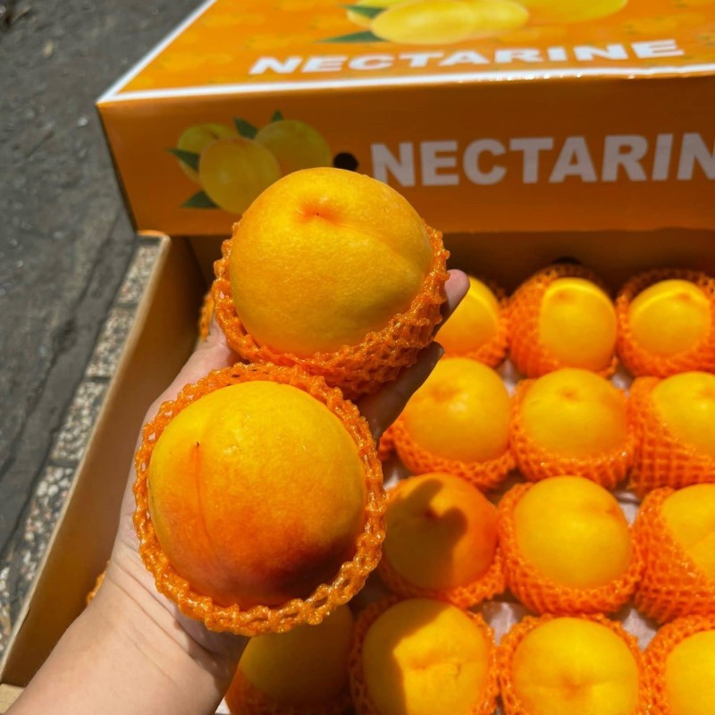 Đào Vàng (Nội Địa Trung)_thumbnail_1