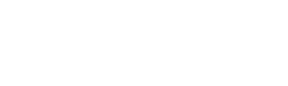 vanex store logo