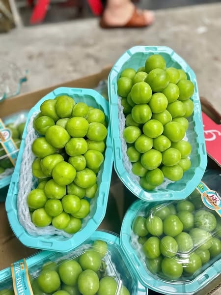 Nho Sữa Shine - Muscat_thumbnail_3