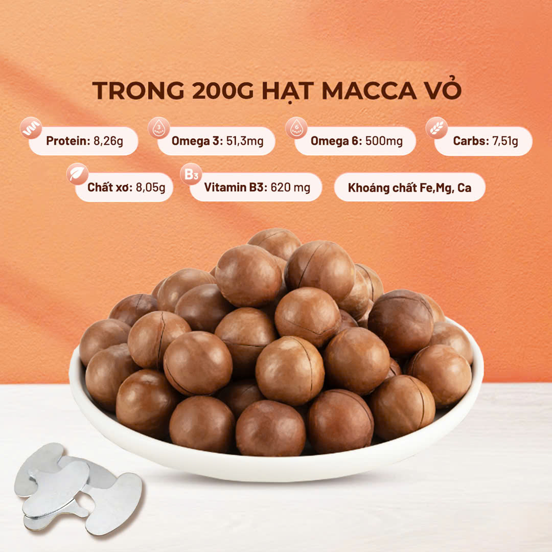 Macca Nhập Úc_thumbnail_1