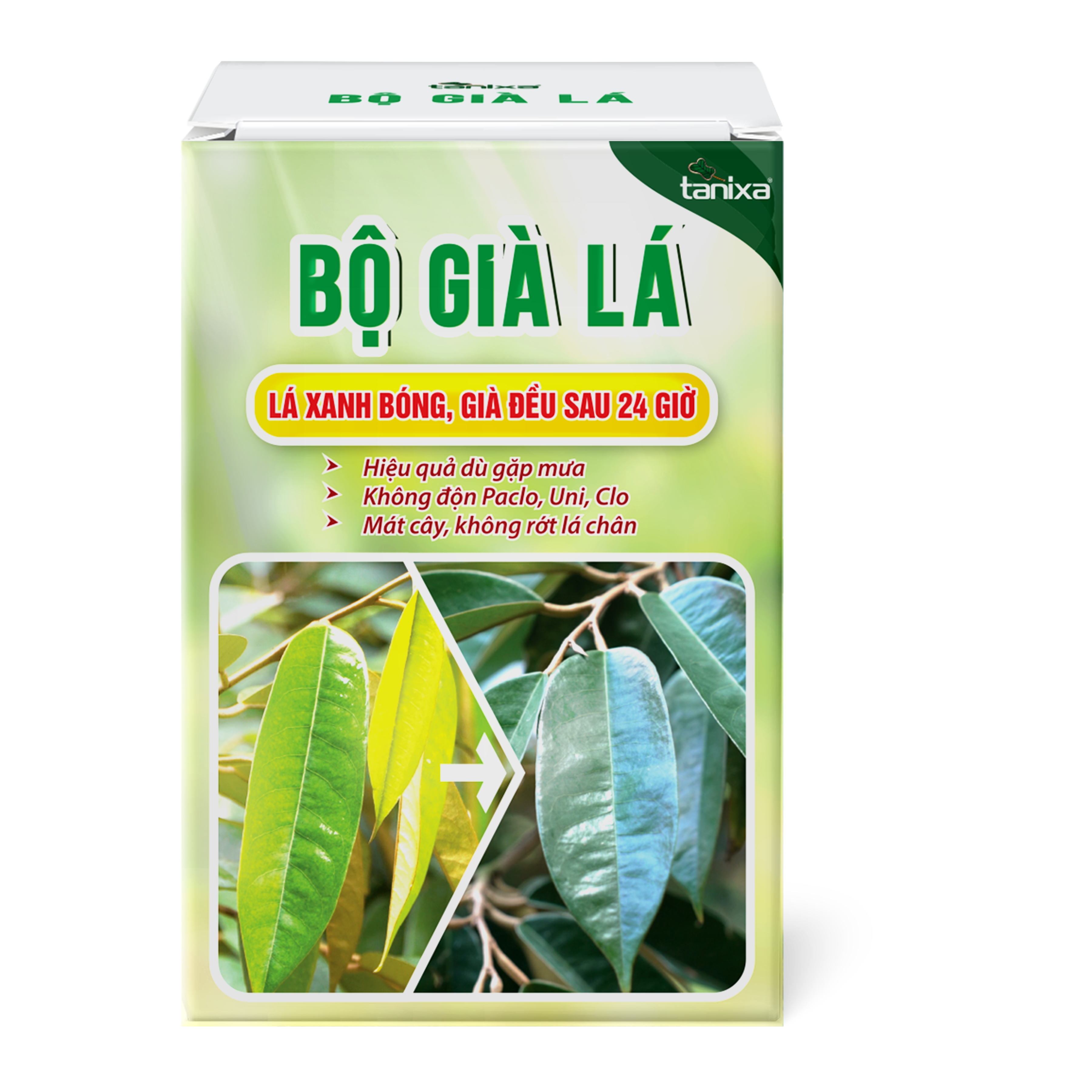 Bộ già lá Tanixa