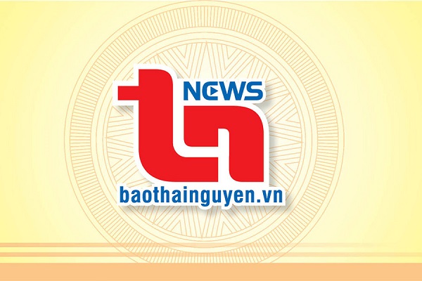 bao-thai-nguyen