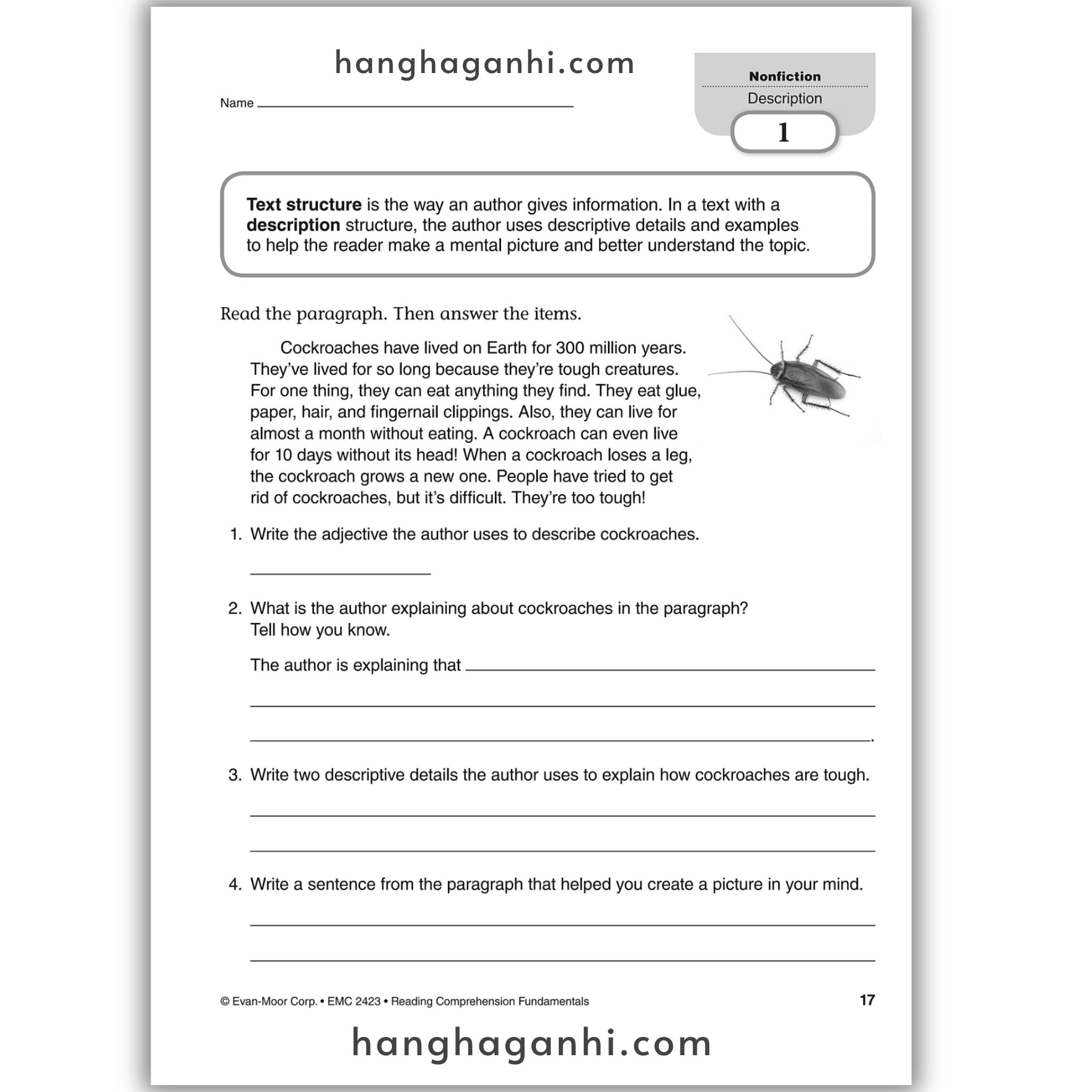 Reading Comprehension Fundamentals grade 3_thumbnail_4