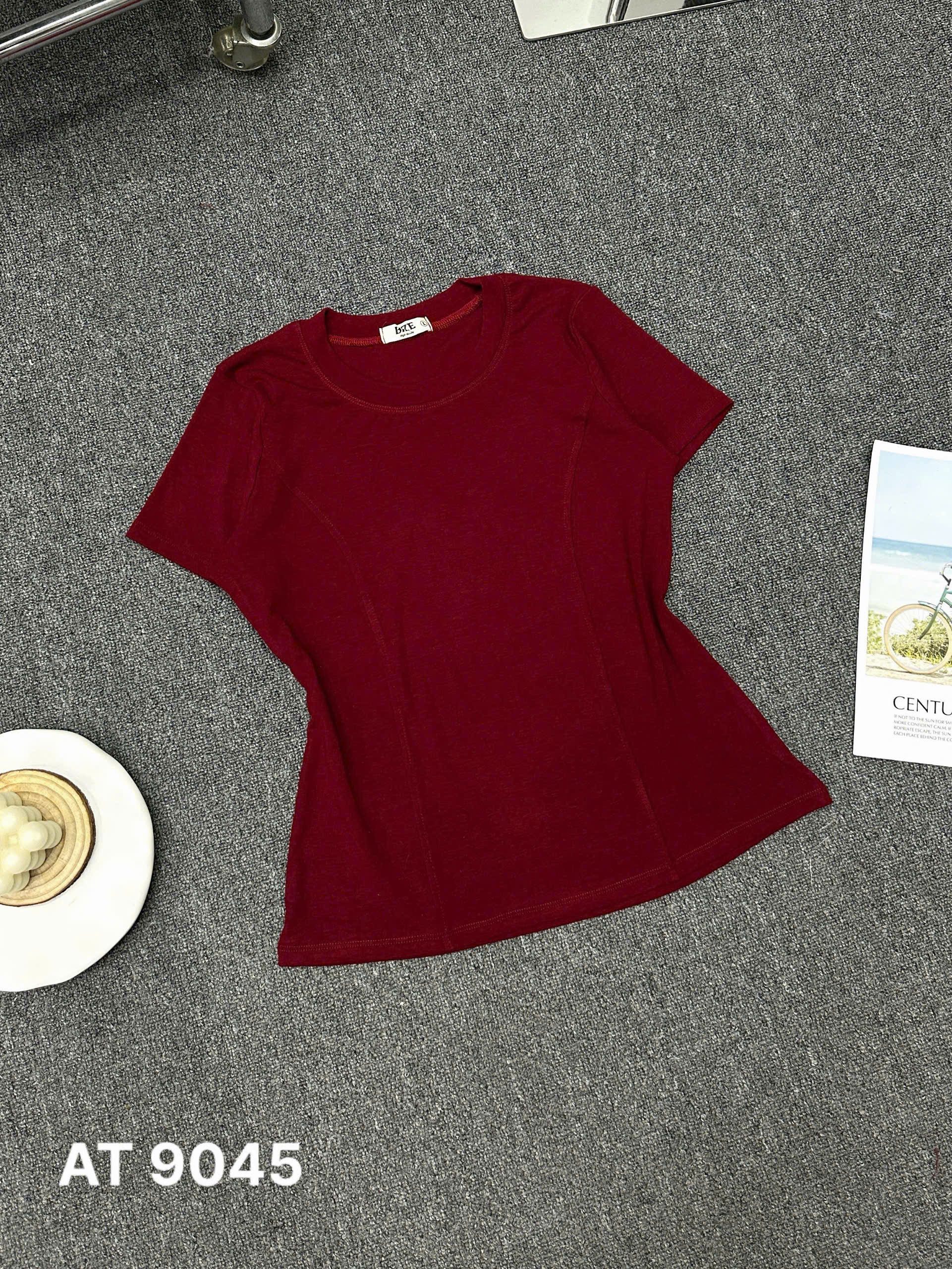 Áo thun cổ tròn nhiều màu bigsize AT9045 dành cho nàng béo mập từ 55-90kg_thumbnail_7