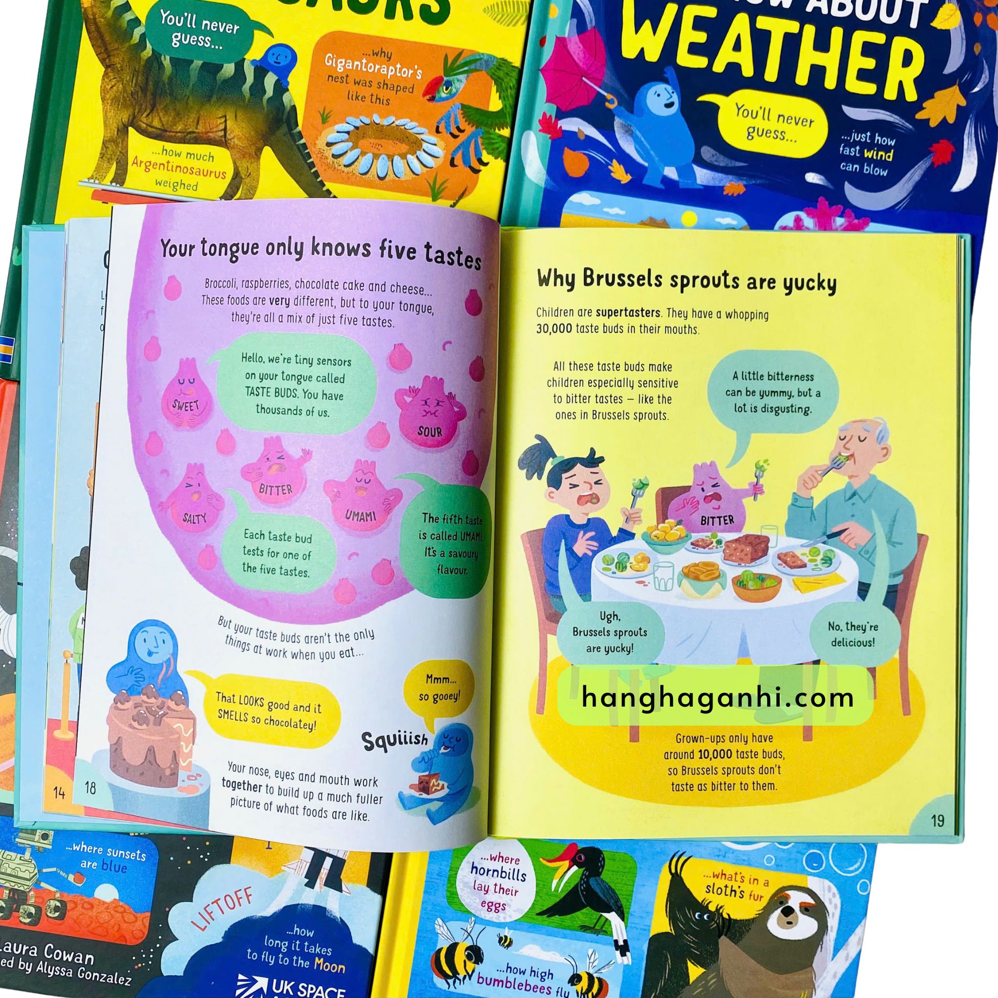 Usborne Lots of Things to Know About- Bộ 5 cuốn_thumbnail_5