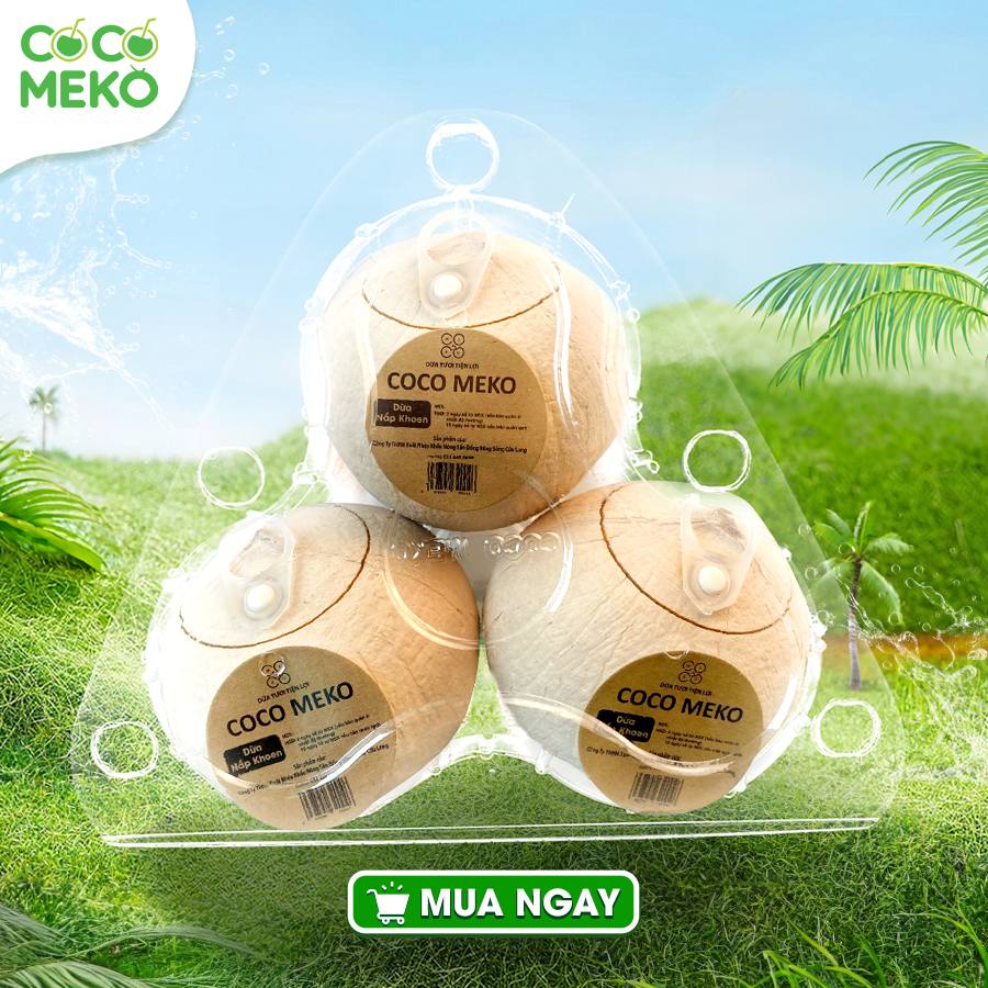 Plastic Box of 3 Eyelet Cap Coconuts_thumbnail_0