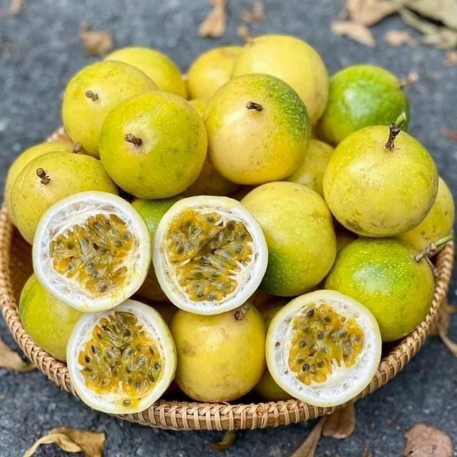 Chanh Dây Vàng Hương Ổi_thumbnail_3