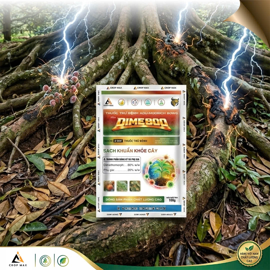 DIME 800 – Giải pháp chuyên sâu trị mốc sương, sạch bệnh – khỏe cây_thumbnail_3